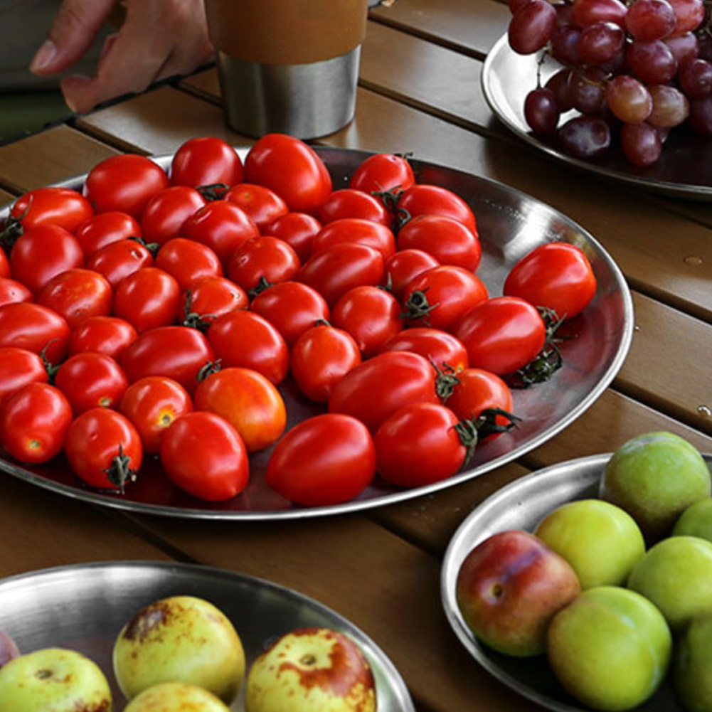 1 PCS  Stainless Steel  Plates - Camping Cooking Dishes ulasan dan harga